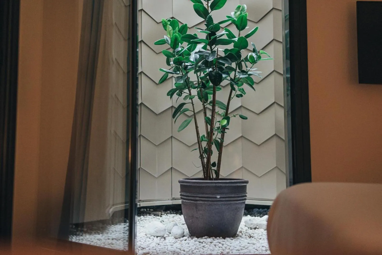 Hotel Arbaso San Sebastián Španělsko